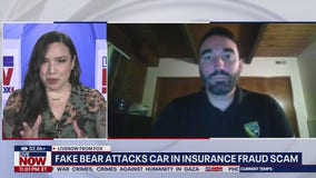 ‘Bear attack’ story unravels as Montana man found guilty of grisly campsite murder: officials