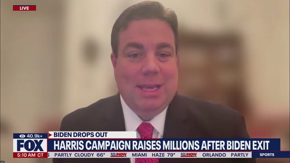 Kamala Harris coconut tree meme, explained