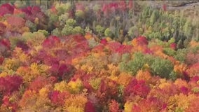 When will NYC see peak fall colors?