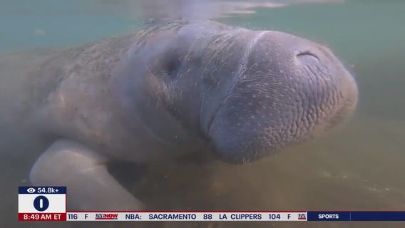 That morning cup of coffee could be the key to a happier day, new study suggests