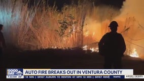 New wildfire pops up overnight in CA