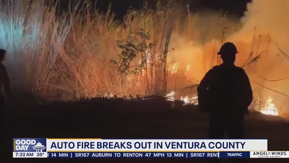 New wildfire pops up overnight in CA