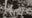 The legacy of the Negro leagues