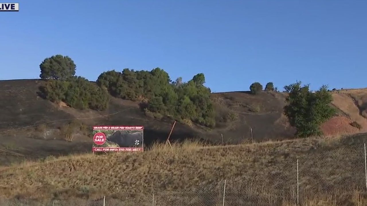 Grand Canyon Megafire Burns 112,000 Acres, Spurs Fire Clouds