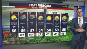 Seattle weather: Wet and breezy conditions pick up Tuesday night