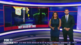 12-year-old killed by falling tree limb in New Jersey