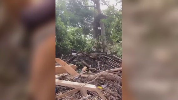 Texas twins’ hero horse sucked into quicksand during Kerrville flood relief