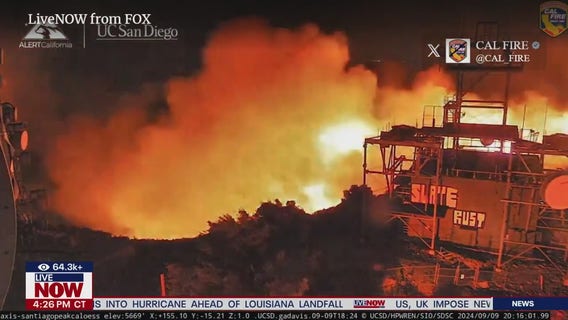 Crews rescue ‘badly’ burned bear from Nevada wildfire