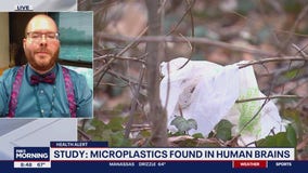 Study: Microplastics found in human brains