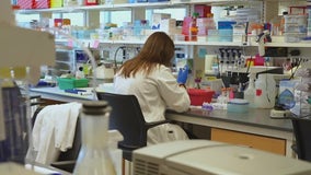 COVID-19 research sparks hope for new cancer treatments