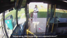 MCTS bus driver helps toddler