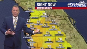 Tampa weather | winds shift Saturday, bring rain