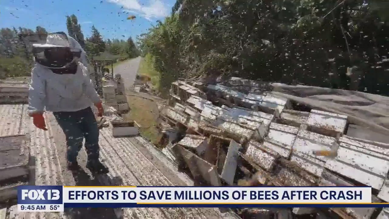 www.fox13seattle.com