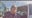 Video shows police investigating party with alleged underage drinking