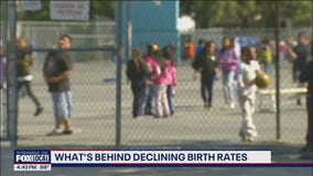 What's behind declining birth rates