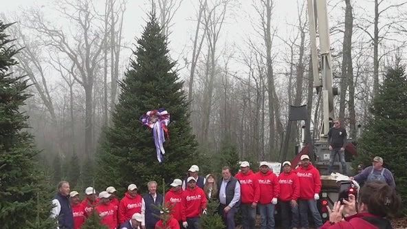 White House Christmas tree becomes symbol of hope for Hurricane Helene victims