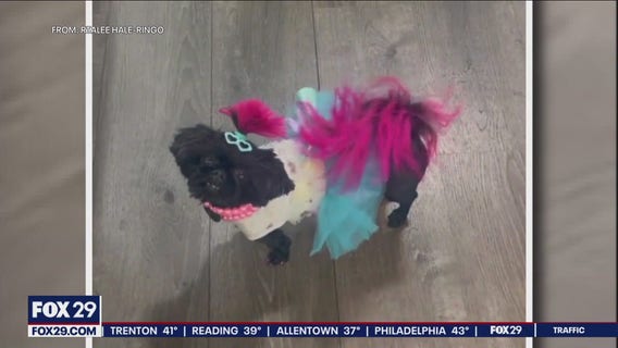 Philadelphia Eagle Kelee Ringo, mom plea for safe return of dog stolen from Port Richmond Target