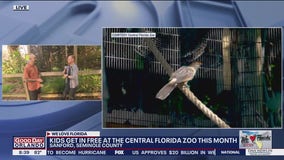 Kids can go to the Central Florida Zoo for free in August