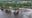Texas flood disaster: Honoring the 120 killed