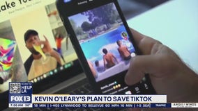 Kevin O'Leary's plan to save TikTok from being banned in the US