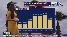 Morning Weather Forecast - 7/27/24