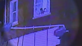 Baby falls from second-story window, survives