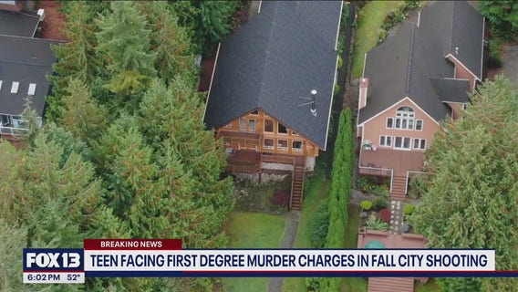 Fall City teen gunned down family, staged ‘murder-suicide’: docs