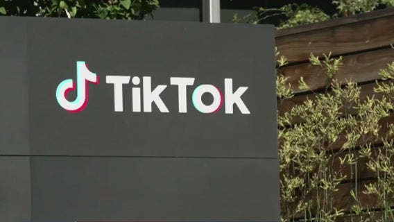 TikTok: Reddit co-founder reportedly joins bid