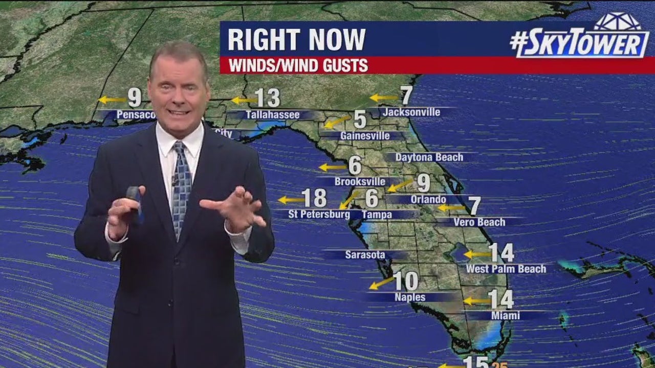 Tampa weather Hot and windy FOX 13 Tampa Bay