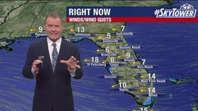 Tampa weather | Hot and windy