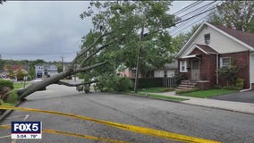 Downed trees, power lines in New Jersey