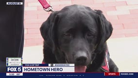 Zip Trip to Herndon: Hometown Hero is a superstar service dog