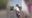 Video: India plane crash survivor walks away from crash