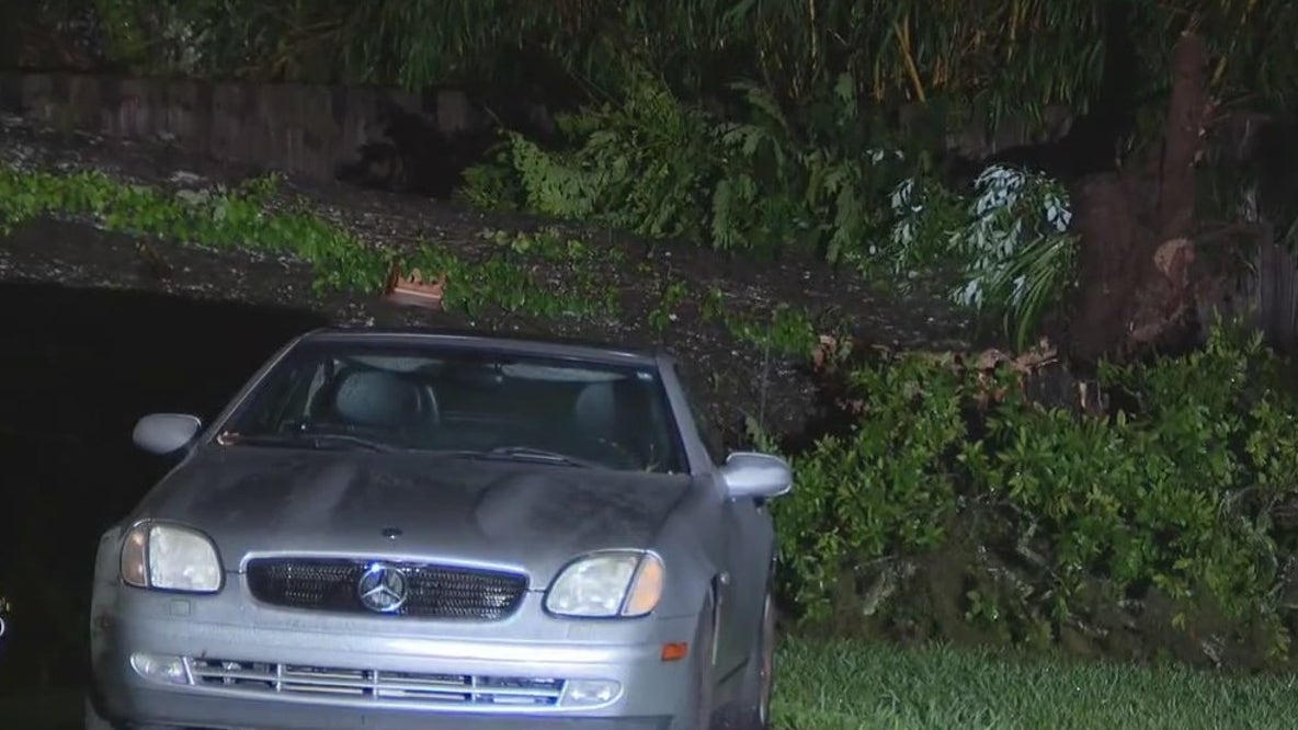 Tree crashes onto Ocala duplex during storm
