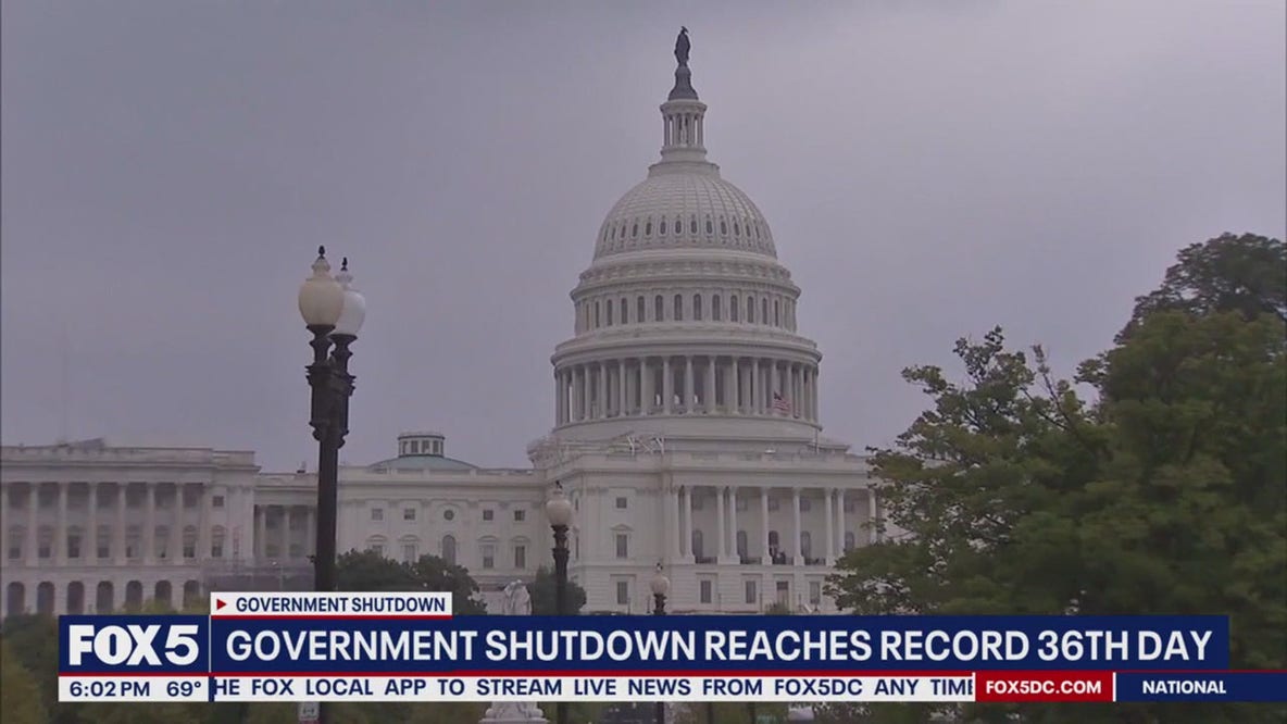 What are the busiest airports in the US?