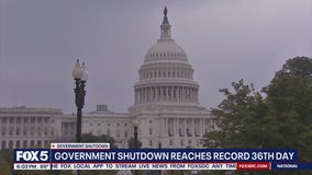 What are the busiest airports in the US?