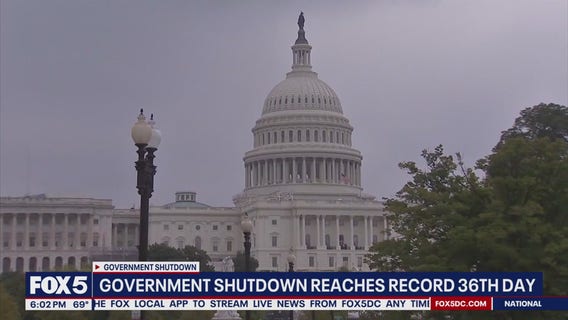 What are the busiest airports in the US?