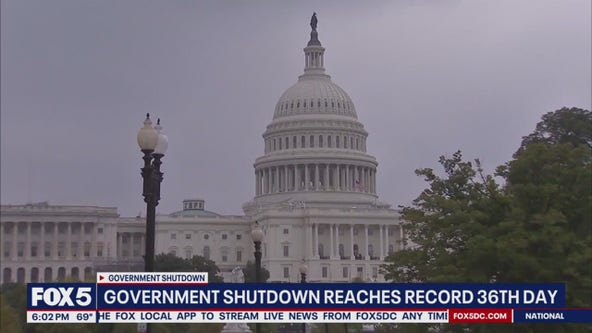 What are the busiest airports in the US?