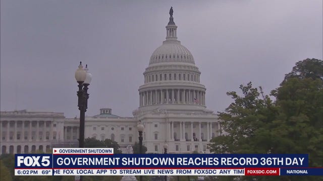 What are the busiest airports in the US?