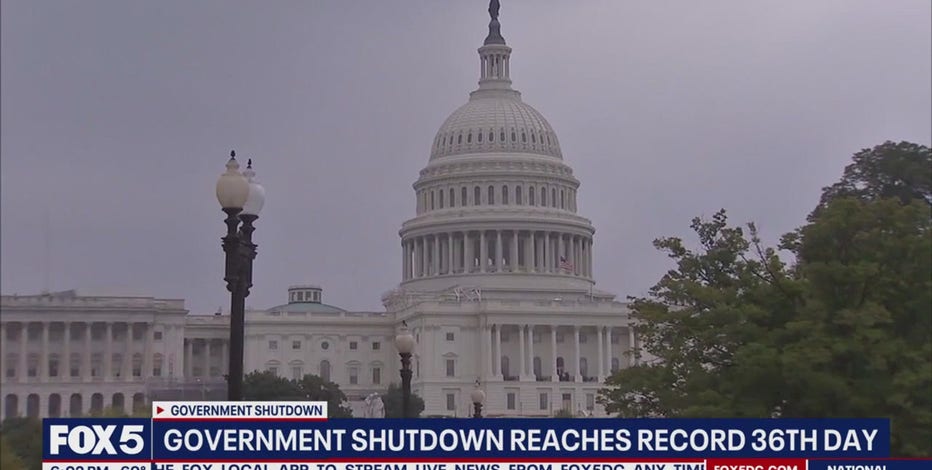 What are the busiest airports in the US?