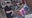 Police track alleged credit card thieves through Costco surveillance