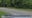 15-year-old killed in Crystal Lake hit-and-run