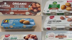Egg recall impacting prices in Arizona