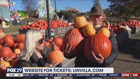 Fall Family Fun at Linvilla Orchards' Pumpkinland