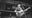 Gruene Hall: Iconic dance hall's 50th anniversary