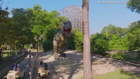 Dino Off Road Adventure at Six Flags now open