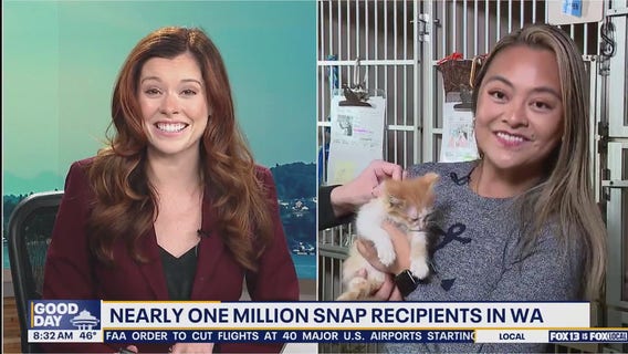 SNAP benefits and impact on pet food in WA