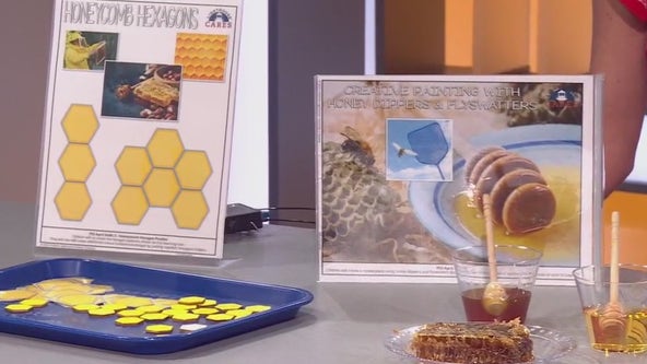 Celebrating Earth Day: The importance of bees