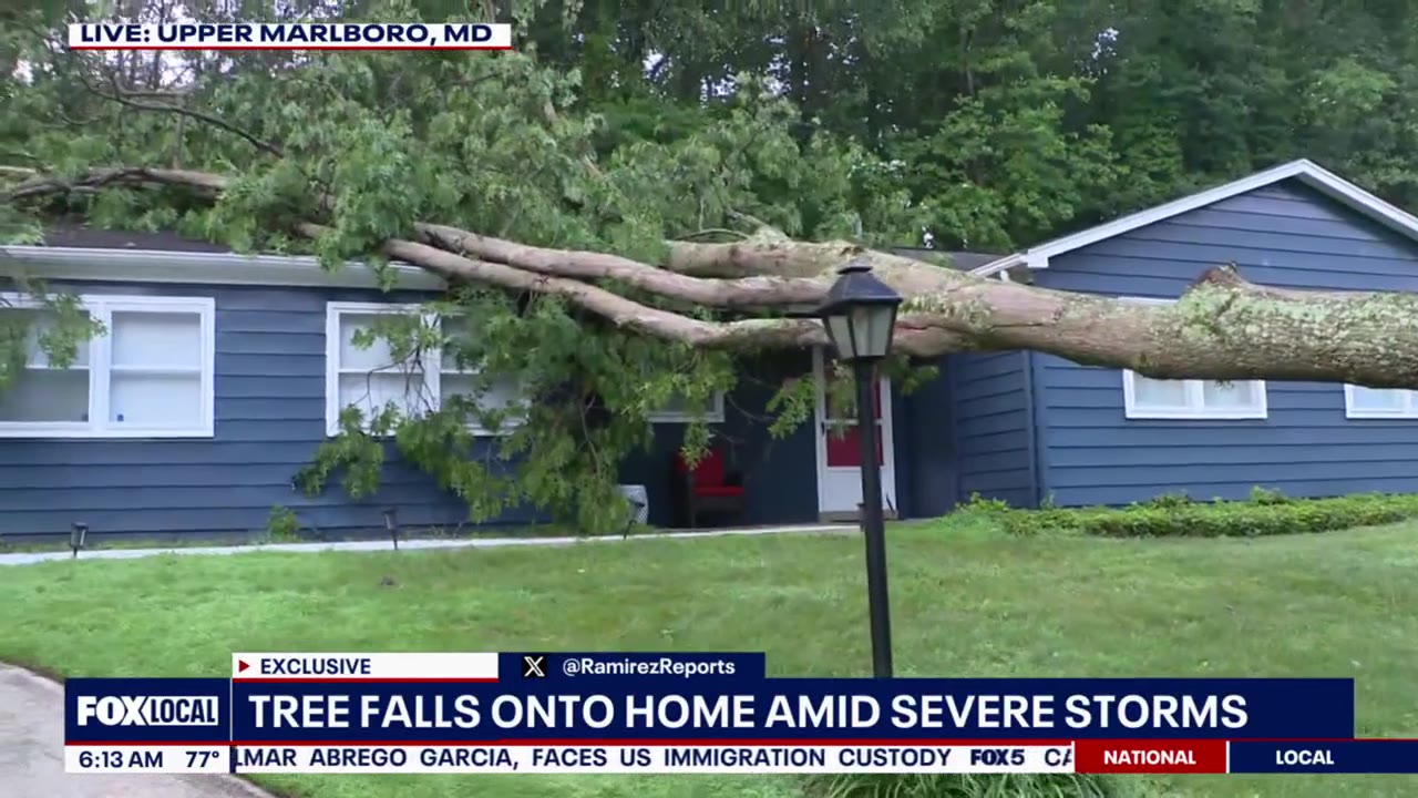 Tree falls onto home amid severe storms