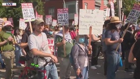 DNC protestors call for the end of U.S. aid to Israel